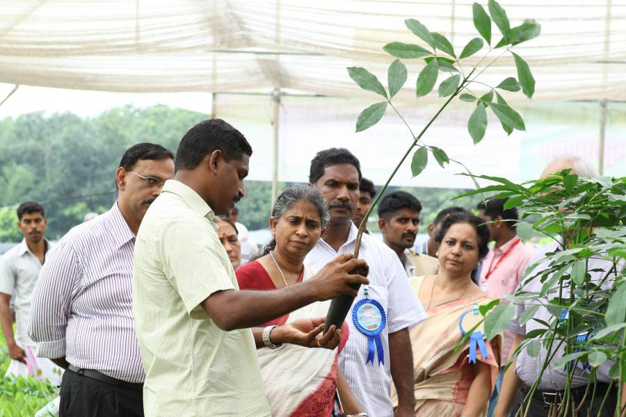 Mrs. Sheela Thomas IAS