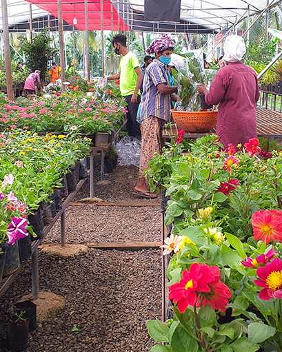 Founding Visionary 3