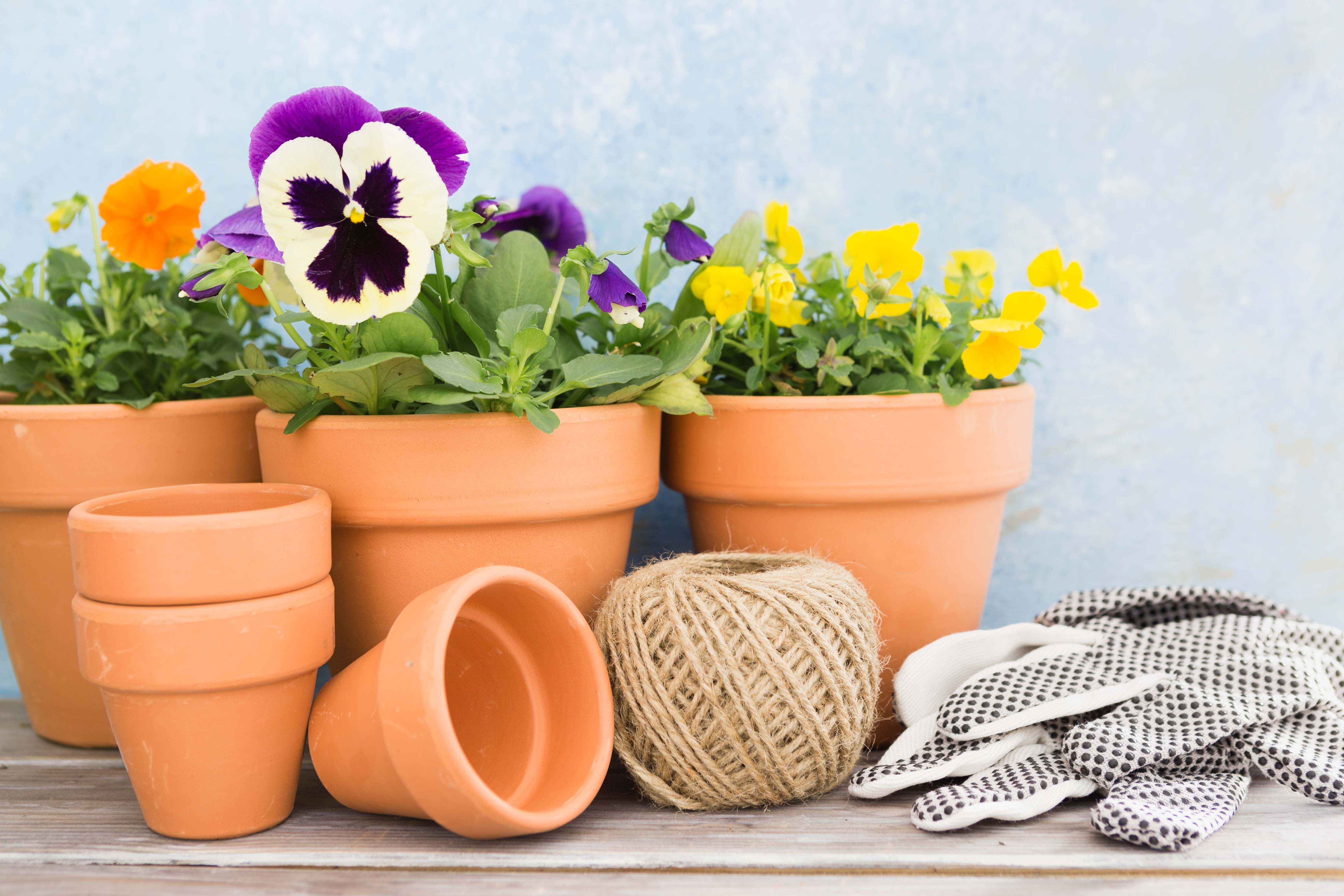 Garden Pots & Accessories