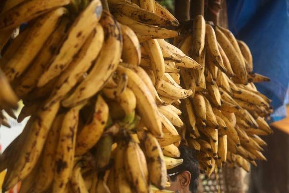 Banana