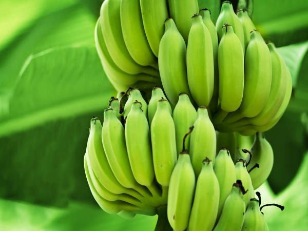 Banana