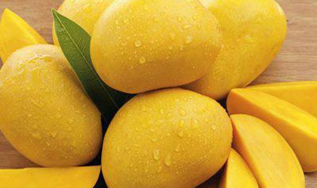 Mango