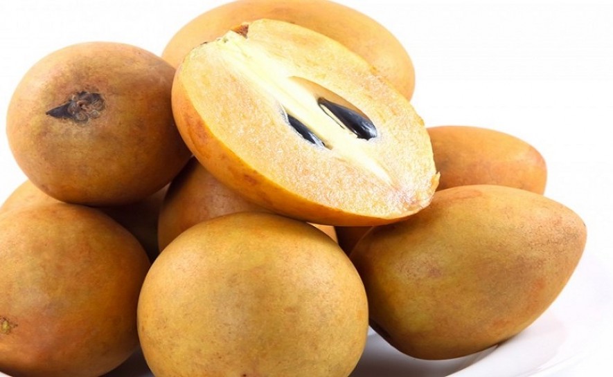 Sapota