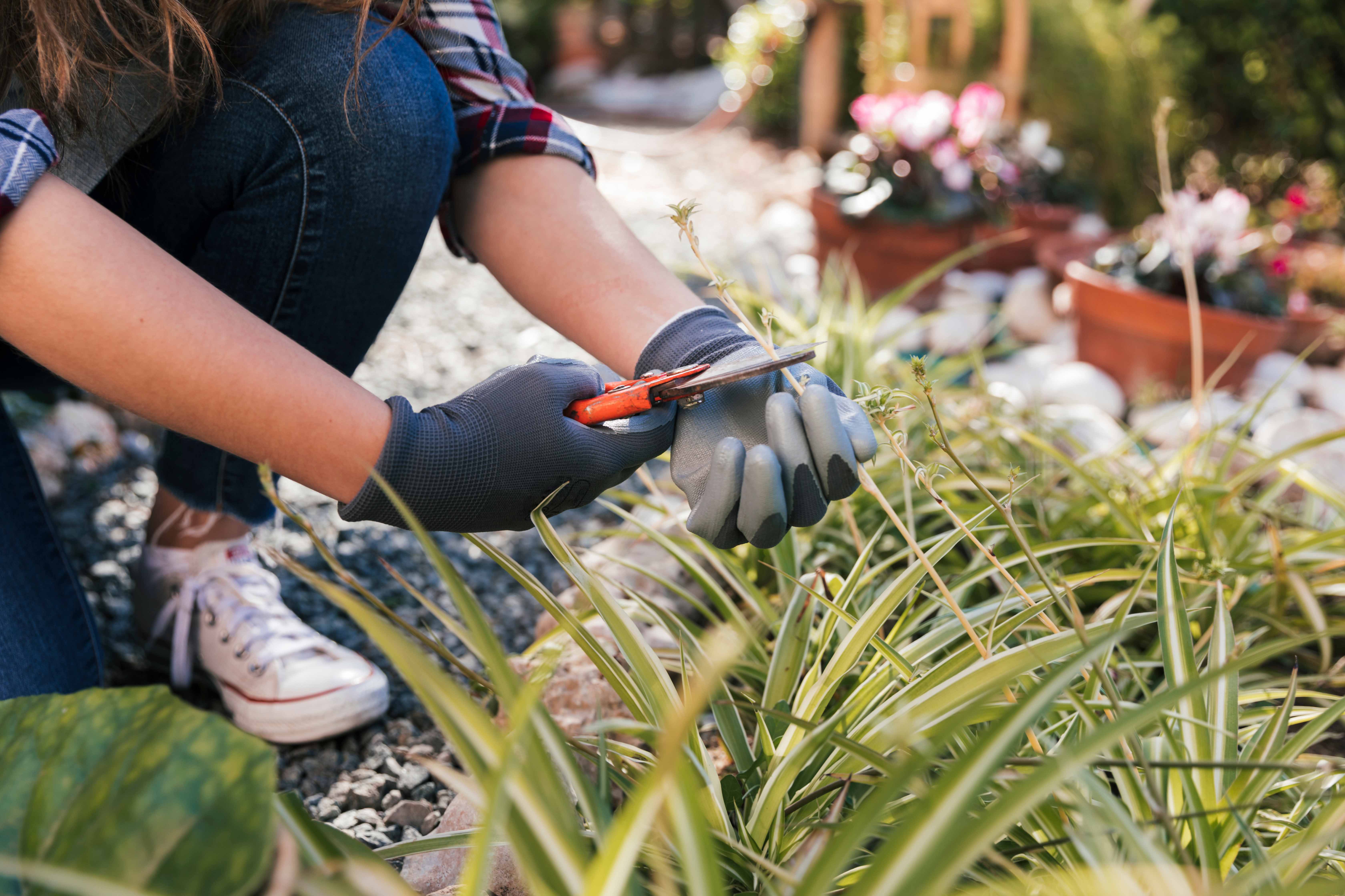 Garden Installation