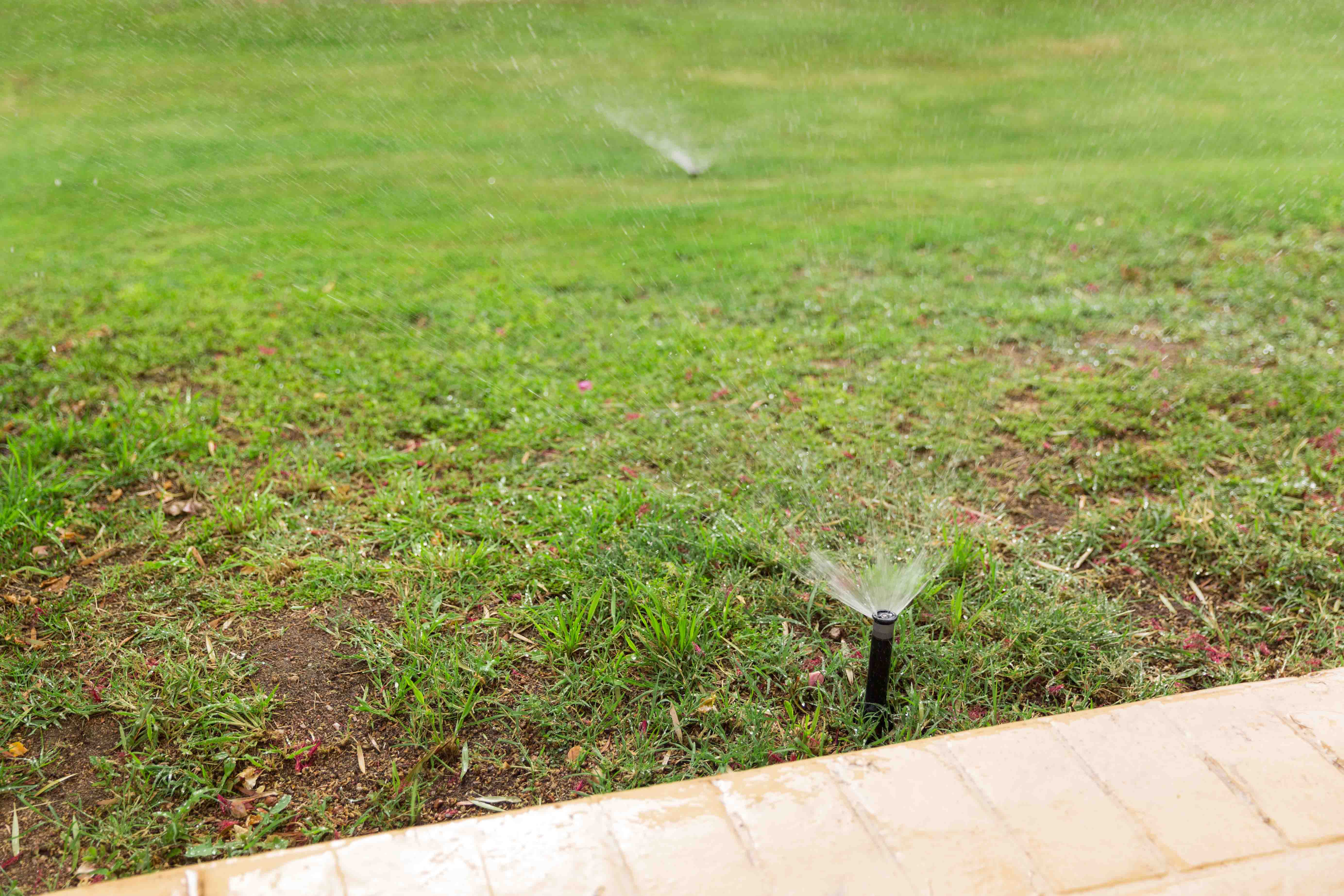Irrigation Setup