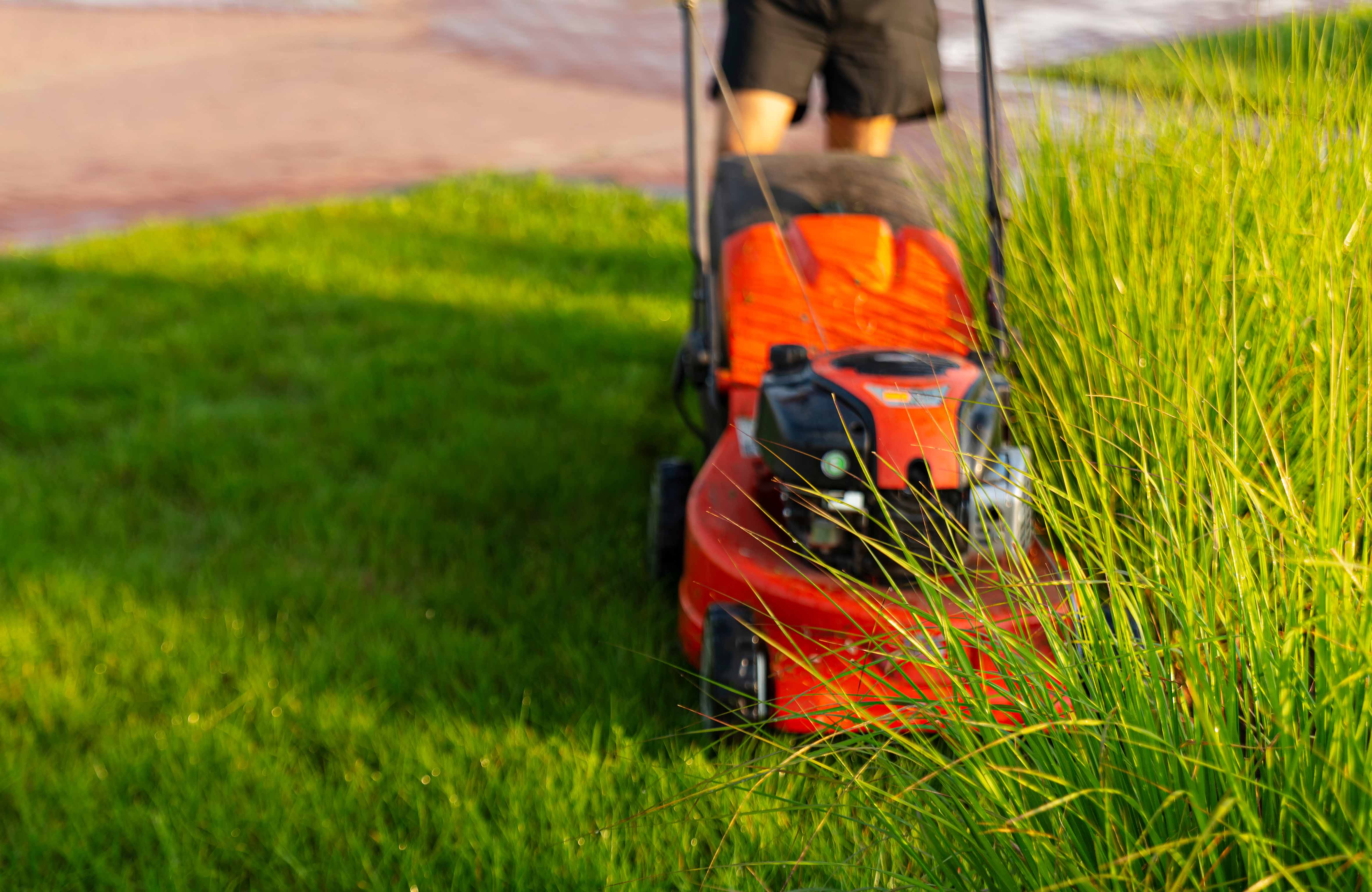 Lawn Mowing