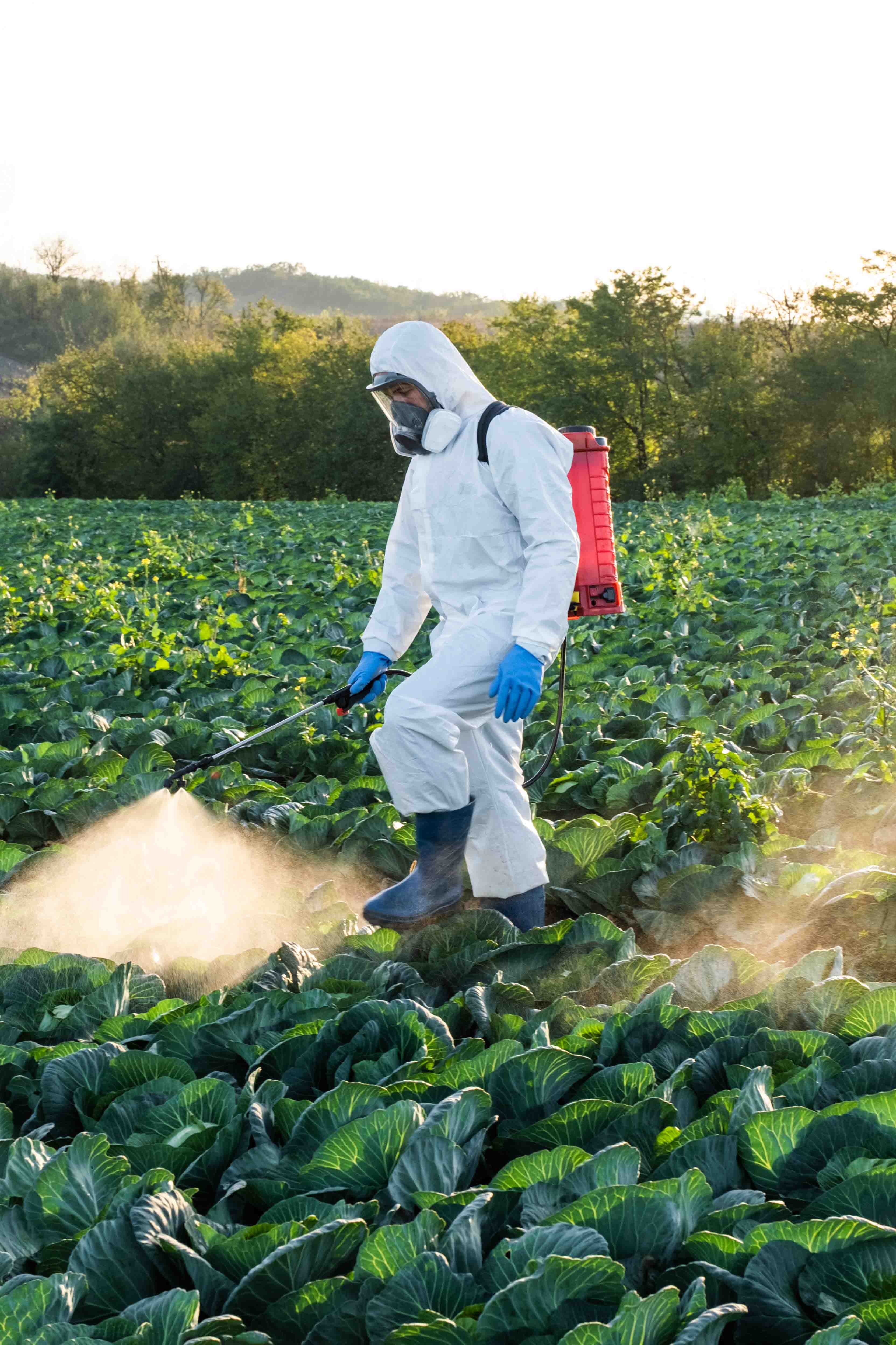 Pest & Disease Control