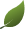 Leaf Icon