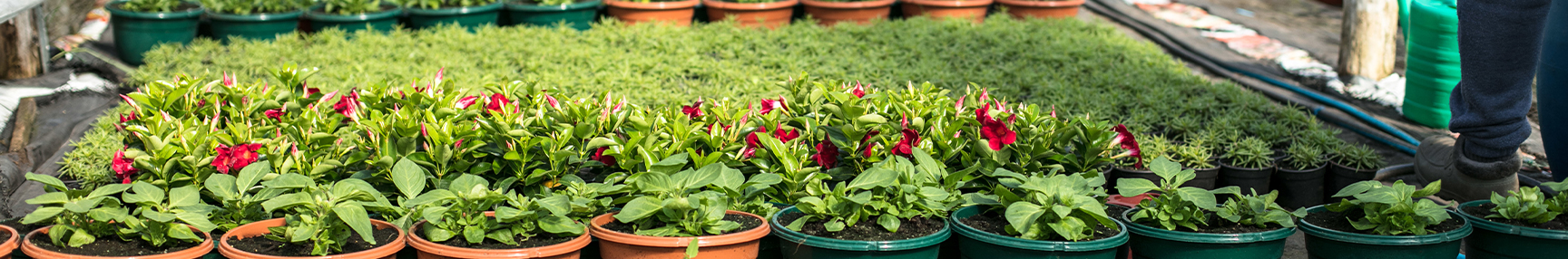 Support System Banner