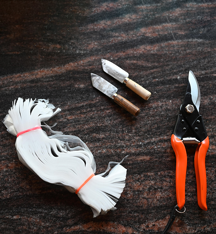 horticulture Nursery