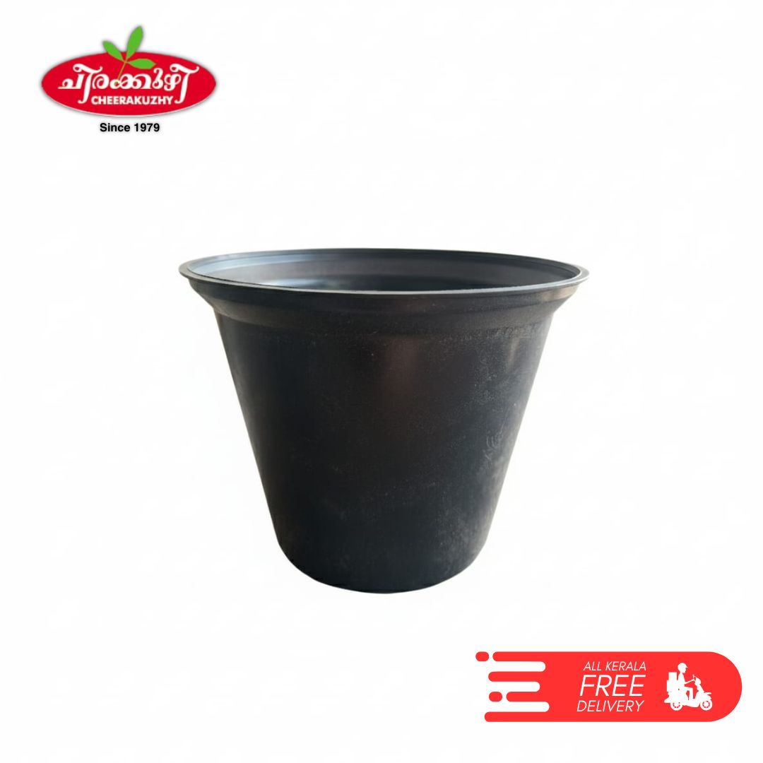 5 inch pot