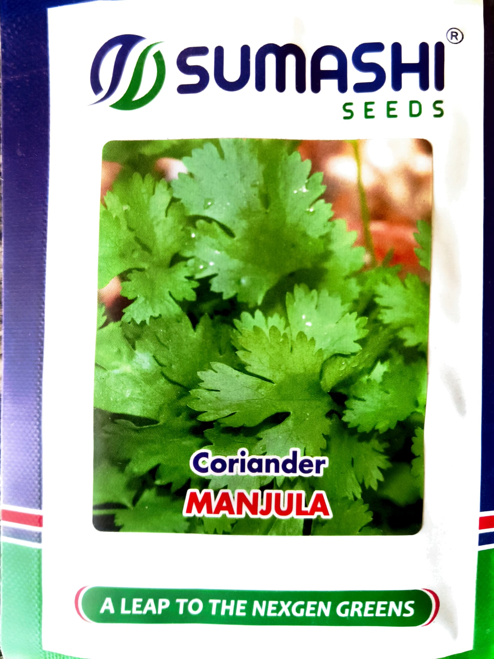 coriander - manjula